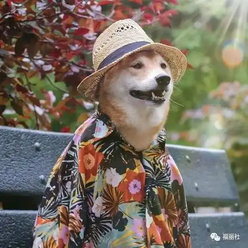 受够了pg3式的黑泡男这样会穿的小哥哥请给我来一打