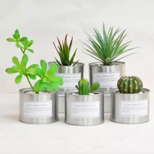 网上的ins风金属花盆会不会导电放在插座旁边安全吗