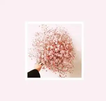 来吧,朋友,未来可期