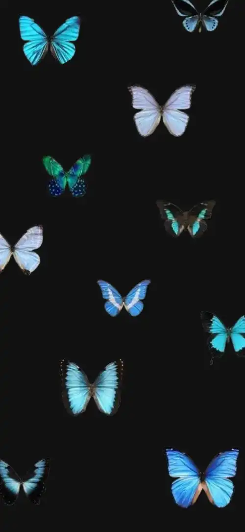 唯美治愈系手机壁纸