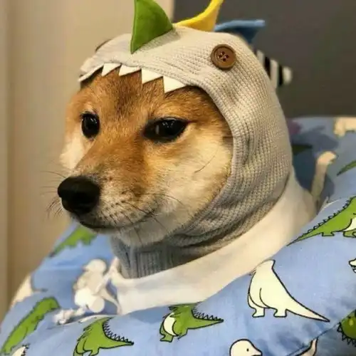 男生头像辛丑年,愿温语安寄,太平如一