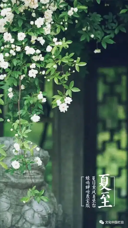传统文化丨关于夏至,你都知道哪些地方习俗呢