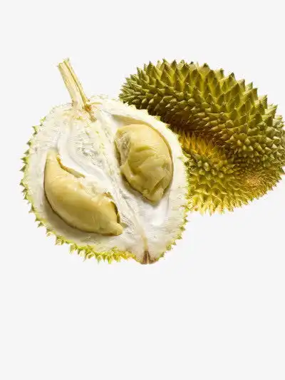 榴莲免抠素材png素材素材