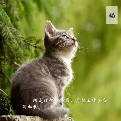 重温经典怀念钱钟书