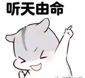 胖达图片卡通头像表情包