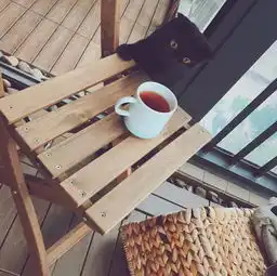 平价改造王用6万就打造了80m2治愈系小家,并在阳台上栽了小森林