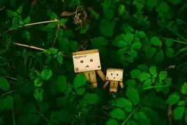 治愈系小清新亚马逊小盒子的幸福生活