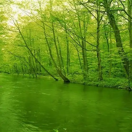 2023清新干净风景头像