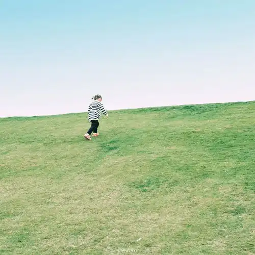 如今冬寒祛散,暖春终将如约而至