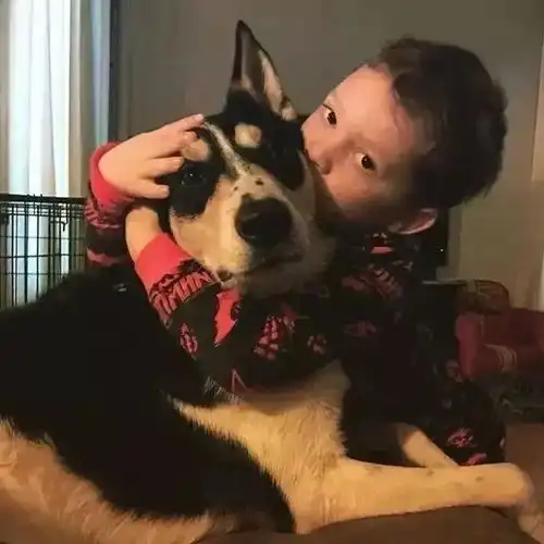 假笑动漫头像小孩头像