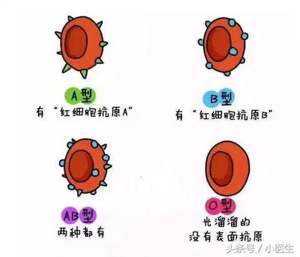孩子的血型和父母不是一样就不是亲生的吗还可能完全不同