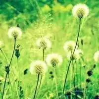 晒晒爸妈的朋友圈吧