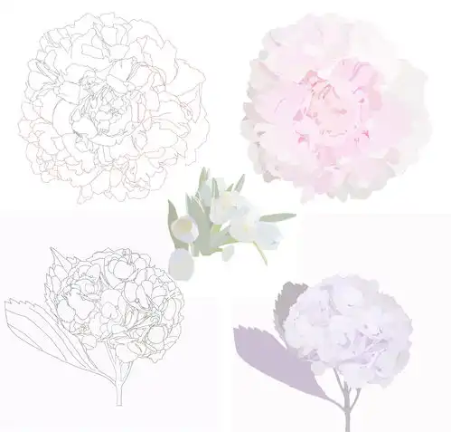 花语女孩彩虹系列