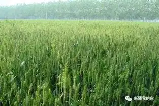 1830晴大风蓝色沙尘暴黄色预警2019征兵工作全面启动独库公路全景漫游展示系统上线