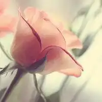 男生海边背影意境头像高清唯美微信头像图片大全