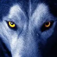 很酷很霸气的动物头像