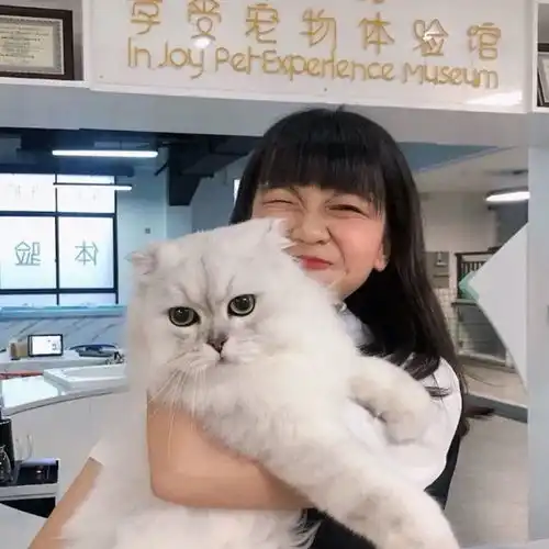 猫系女孩头像真人头像