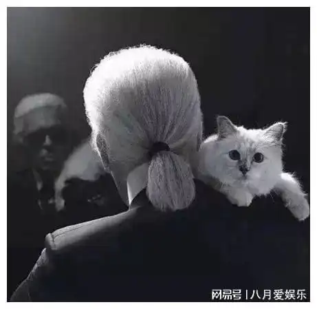 拉格菲一生不婚,把21亿遗产留一只猫,深挖他的情感后才知真相