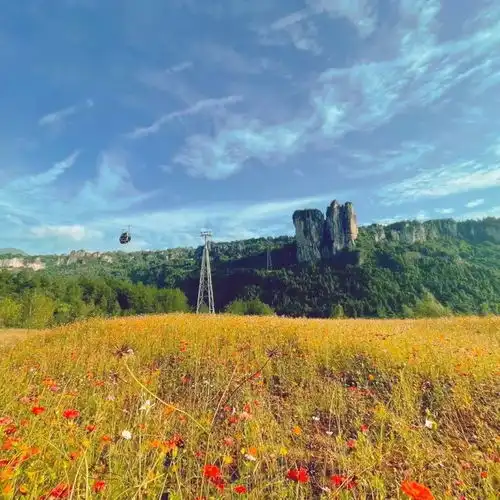 仪式感反差萌自然系2024女性旅行新趋势