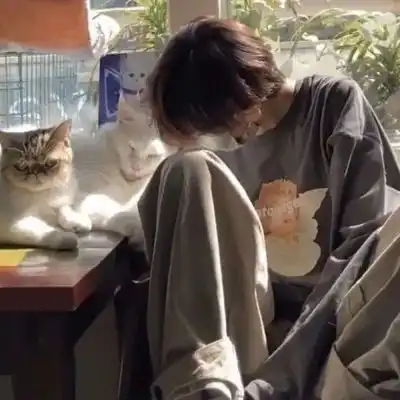 男生头像总是感觉黄昏的时候,你应该在我身边
