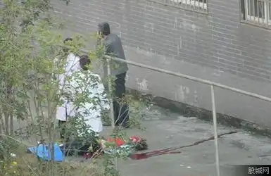 池州学院女生跳楼身亡系父亲签安全承诺书送抑郁症女儿回校