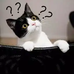 我看你就是干啥啥不行,抬杠第一名