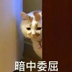 一年猛涨100万南京这类房子涨幅惊人