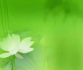 世界在酣睡,而你已起来念经