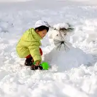 自由自在的头像