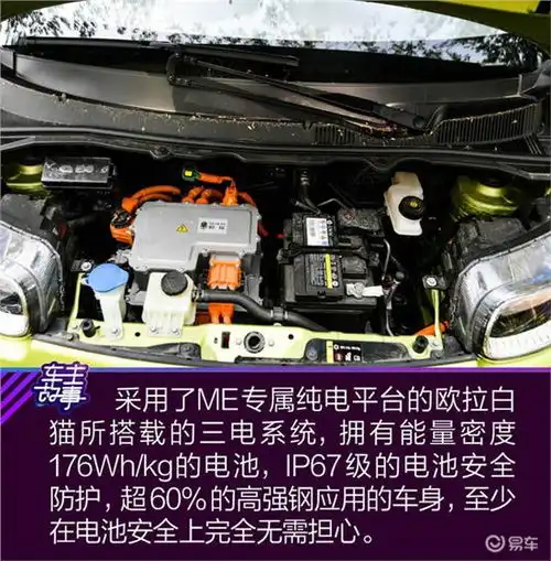 猫系青年的欧拉白猫深度吸猫指南