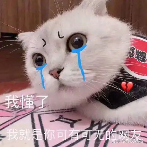 当今社会如何看待网恋问题