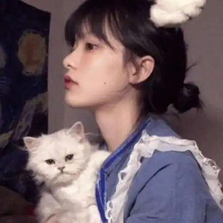抱猫的女生头像,最新抱猫的高冷女生头像图片