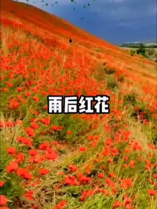 一起享受大自然的美治愈系风景