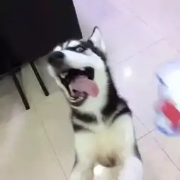 告诉你真相为什么夏天你跑不快