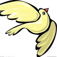 鸽子动漫图片卡通漫画鸽子图片