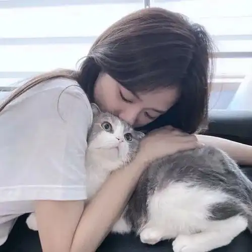 抱小猫的女生头像图片治