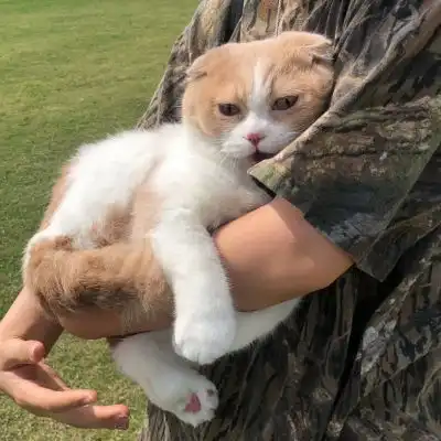 治愈系头像什么意思生活