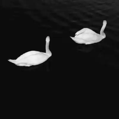 唯美风治愈压抑背景图你想和谁风景静物头像我要个性网