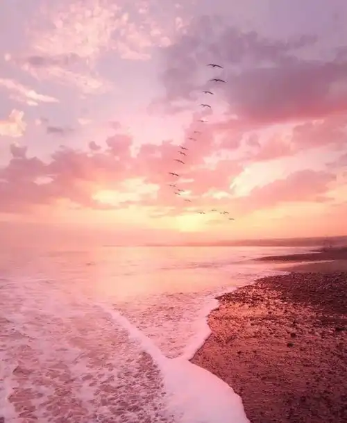 晚安人生出场顺序真的很重要