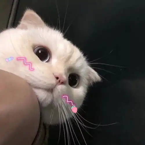 脸有点歪,要怎么矫正