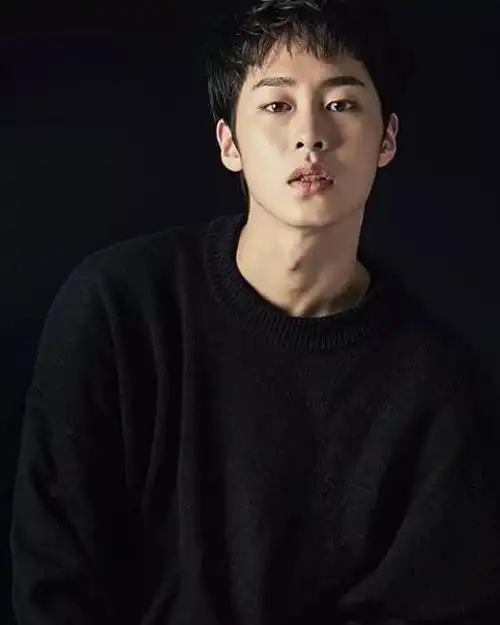 恐龙系许光汉,犬系刘昊然,快测测你是哪种动物脸