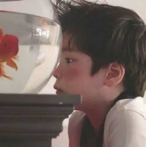 微软build2016二进制代码暗藏彩蛋