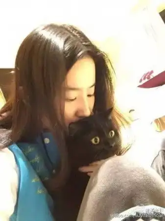 欧美系头像女抱猫高圆圆