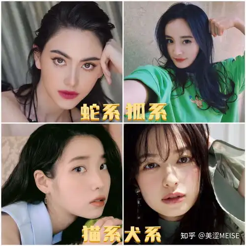 猫系脸更受欢迎蛇系脸更高级测测你是哪种动物脸