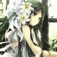 图楼头像放送保卫萝卜圈