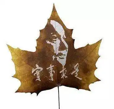 艺术的叶子,如此绝美