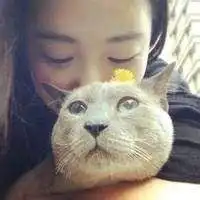 猫系情侣头像微信头像图片大全