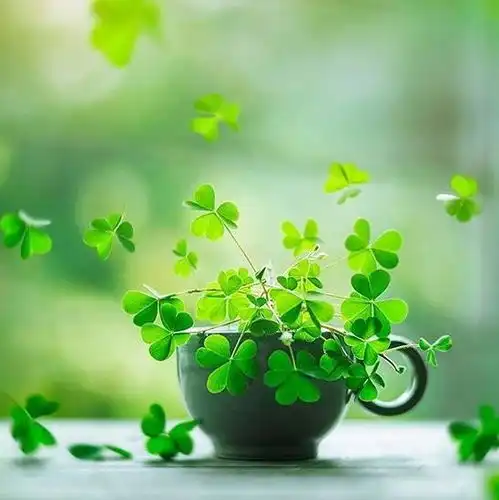 励志人生有梦想谁都了不起