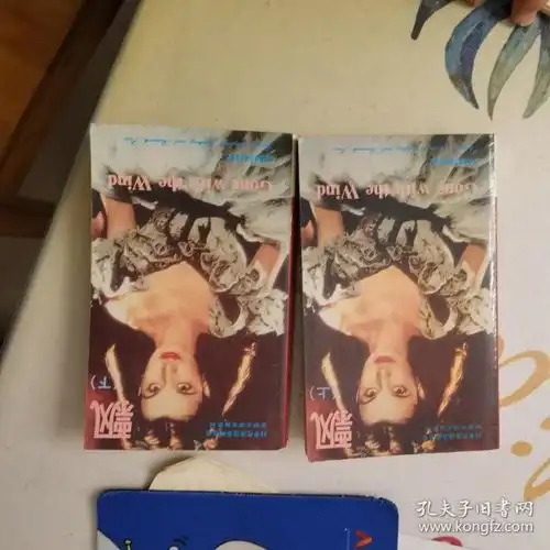 飘上下册90年代英语系列丛书.世界文学名著系列