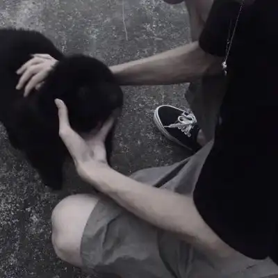 带动物暖心头像酷部位男生猫男生头像我要个性网